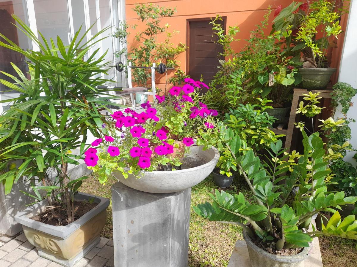 Hotel Marine At Negombo Beach Exterior photo